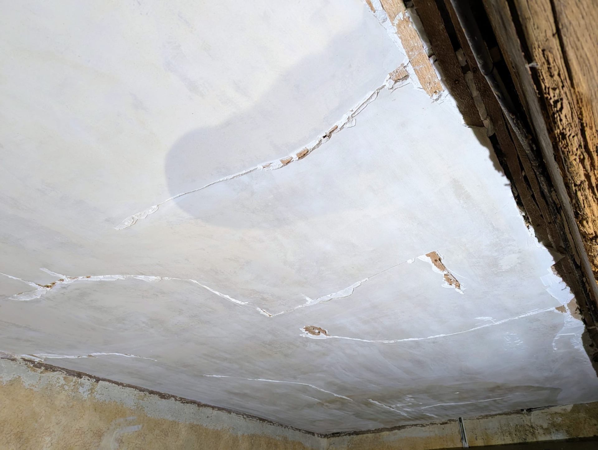 Pontage des fissures